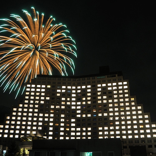 【参加条件あり】☆今年は11月29日(日曜日)開催☆ライトアップメッセージ2026　2食付き！