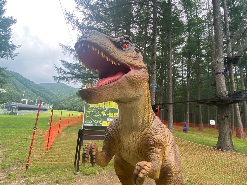 【ここだけ値】最安値☆1日20室限定素泊りプラン
