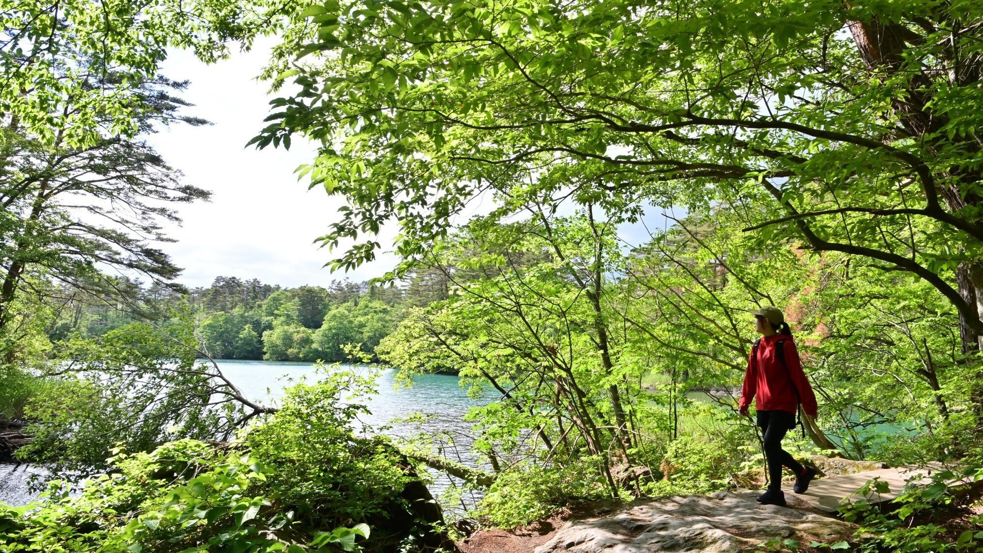 五色沼自然探勝路5