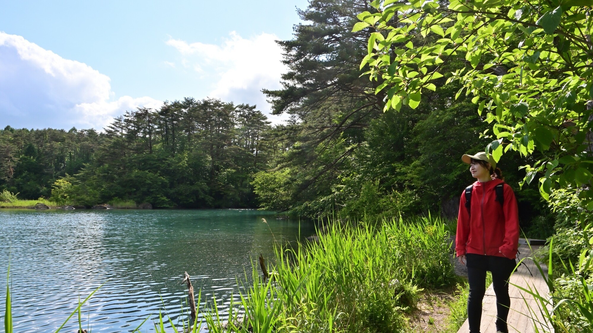 五色沼自然探勝路4