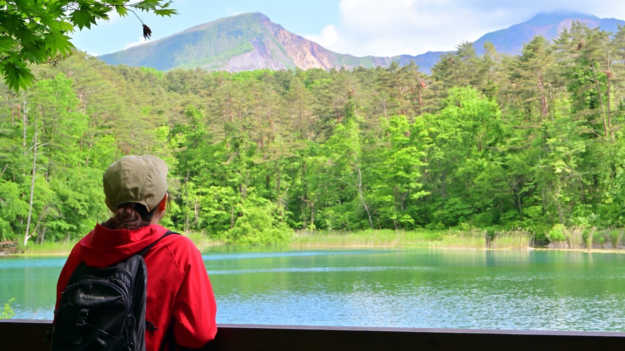 五色沼自然探勝路3