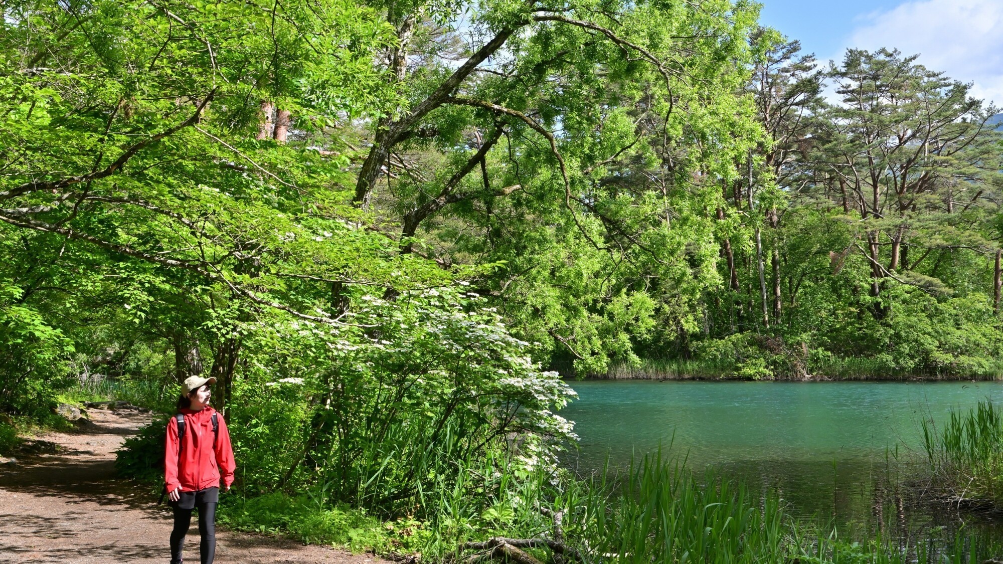 五色沼自然探勝路2