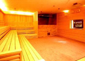 High temperature sauna