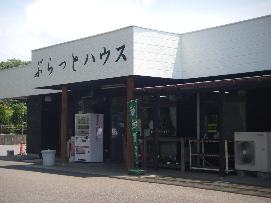 写真5