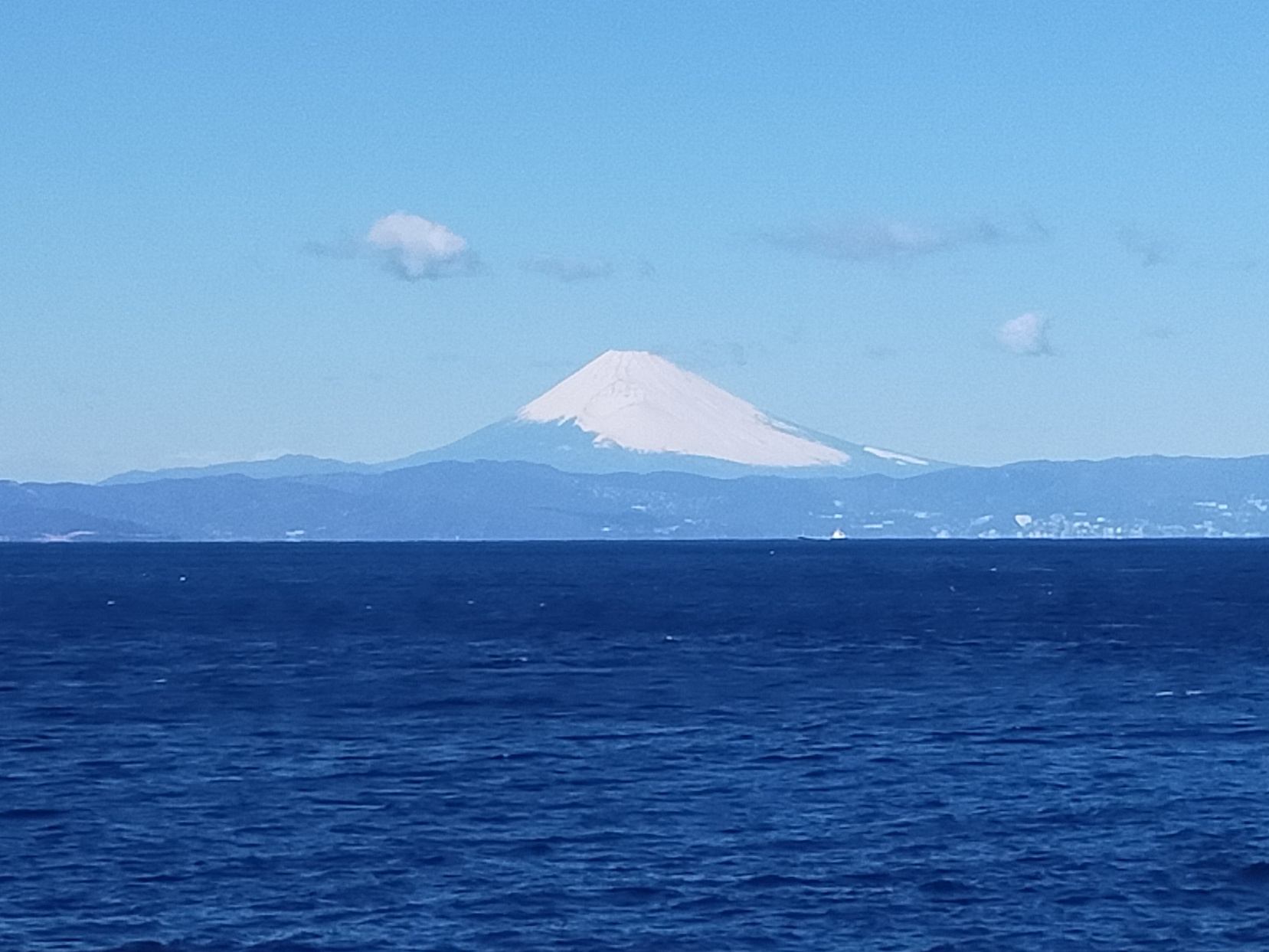 写真6