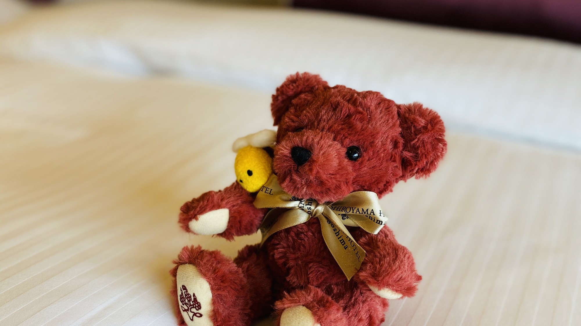 SHIROYAMA BEAR ハピィ