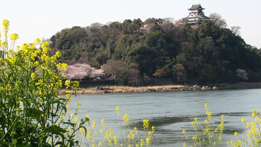 桜　菜の花　犬山城