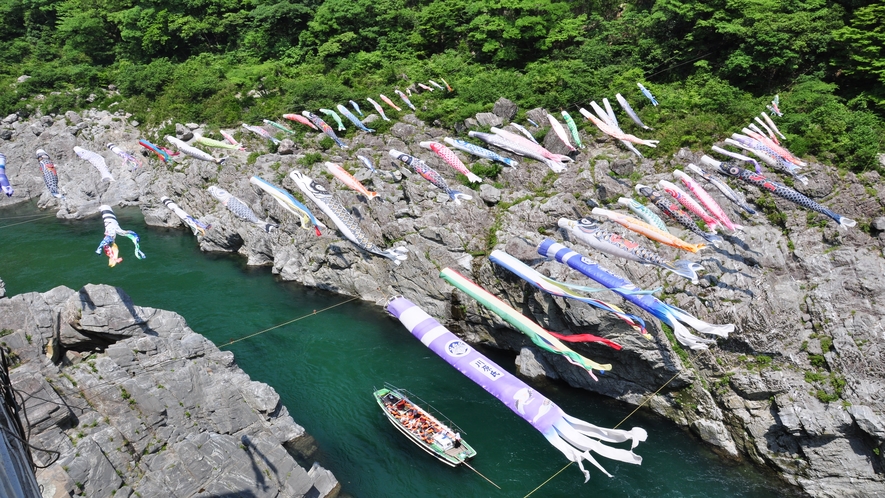 ★大歩危峡観光遊覧船（鯉のぼり）