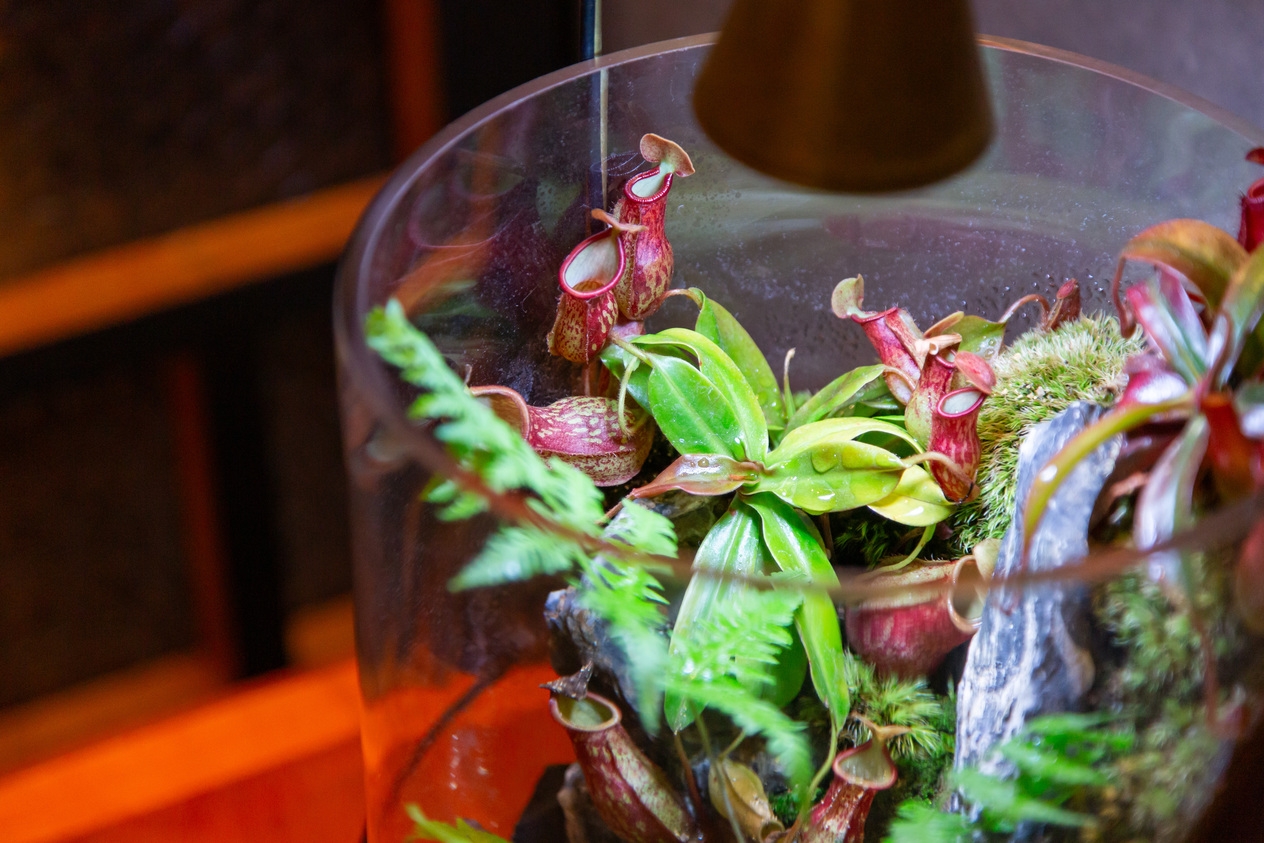 大阪駅徒歩5分☆ヨドバシ梅田＆グランフロント大阪至近　■■■⇒ショートステイ■■■（18時〜翌9時）