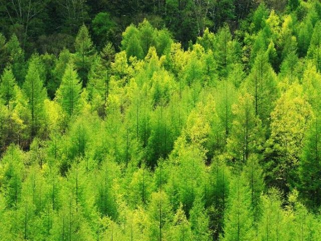 【素泊り+上高地口送迎付】冬の穂高連峰の朝焼けと雪景色も◆チェックイン 20時迄★温泉【湯館】割引