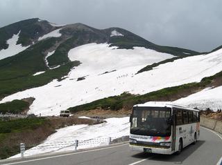 初夏　大雪渓。サマースキー