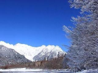 冬の上高地大正池の霧氷