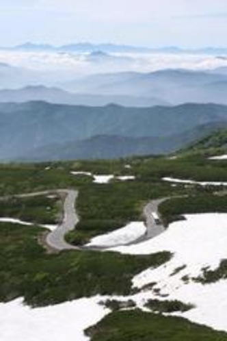 初夏　乗鞍エコーライン大雪渓付近　縦