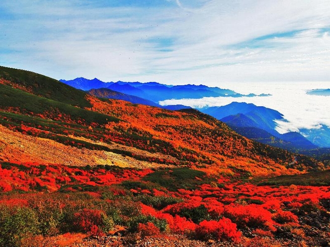 紅葉の乗鞍岳より槍ヶ岳と穂高連峰と常念岳