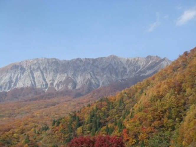 大山の紅葉