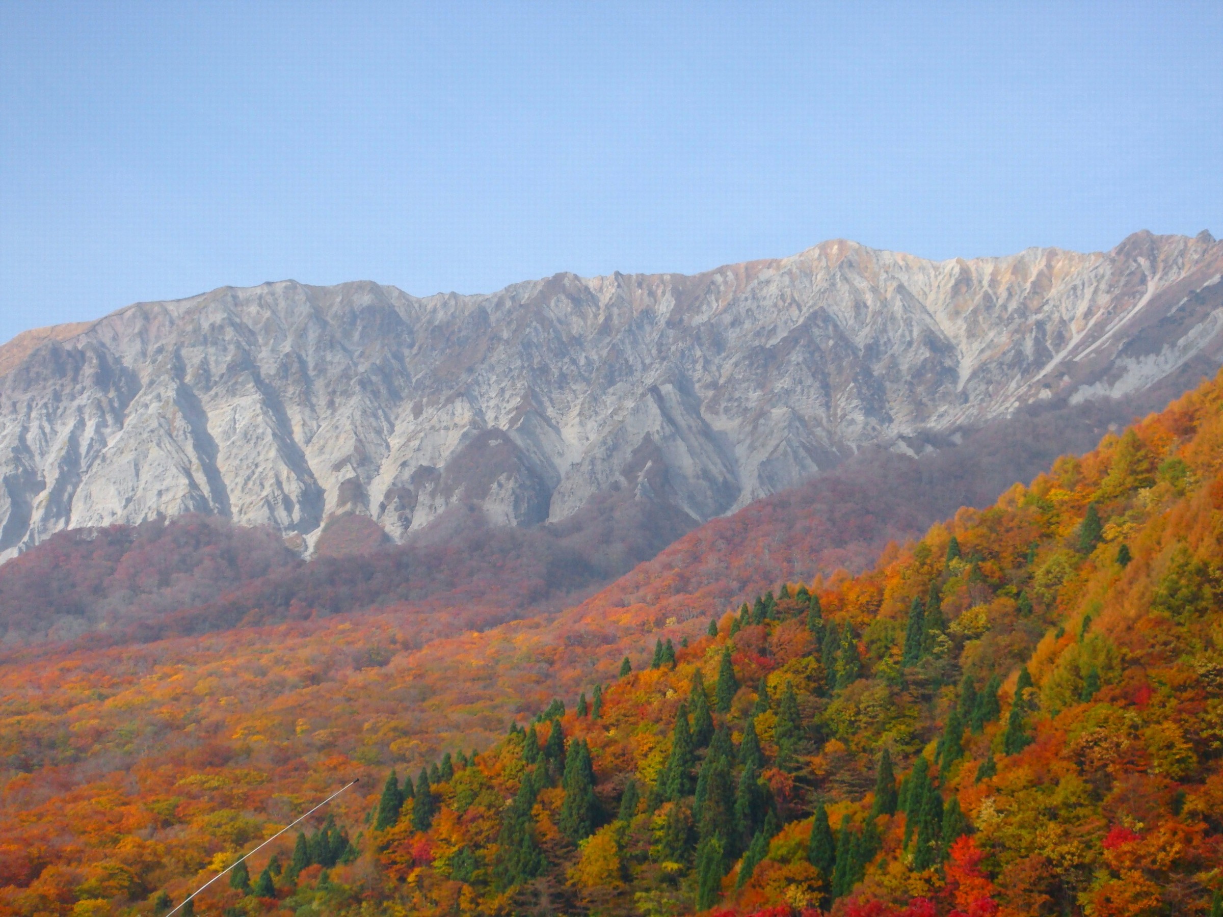 大山の紅葉