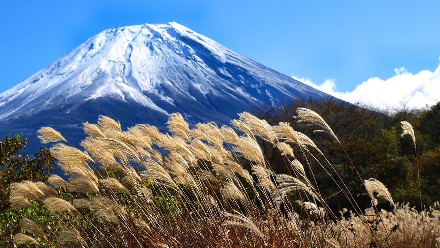 周辺◆富士山ビューポイントもたくさんあり、ススキ野原と富士山