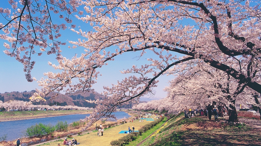 *【周辺観光】～桧木内川堤の桜～約2kmに渡ってソメイヨシノの桜並木を楽しめます。