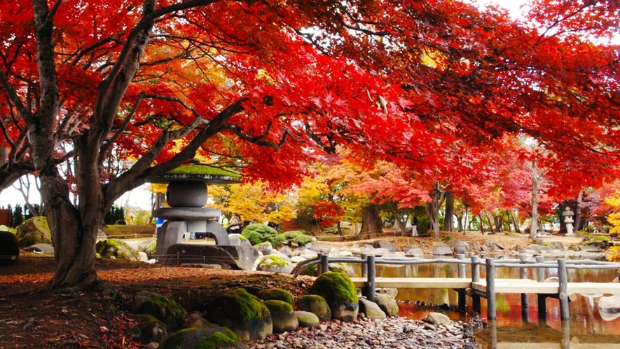 *【周辺観光】～国指定名勝 旧池田氏庭園～庭園内には四季折々の植物が咲き誇ります。
