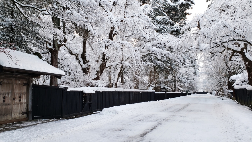 *【周辺観光】～角館武家屋敷（冬）～雪化粧をまとった風情ある景観。
