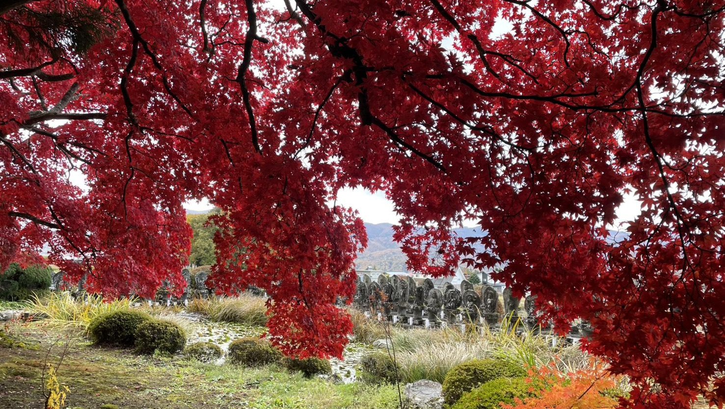 11月：近隣の紅葉