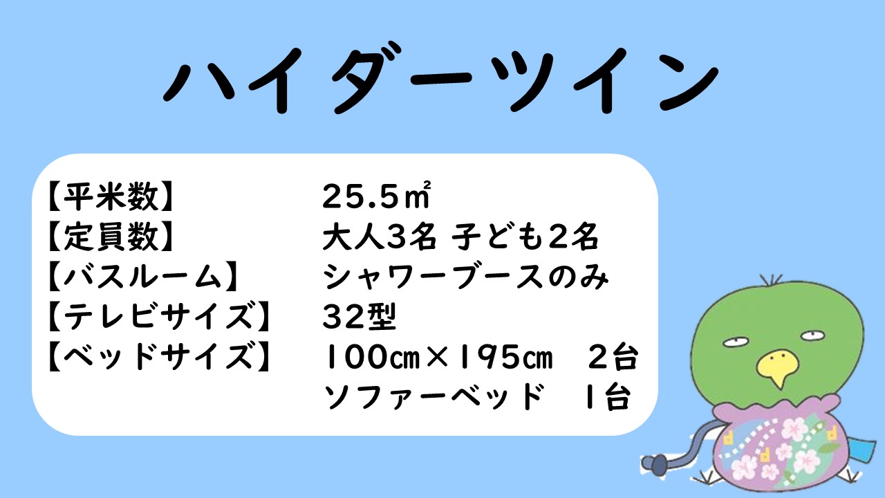 ハイダーツインルーム　概要