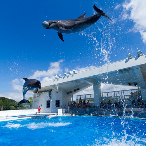 海きらら水族館入館券付プラン