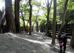 220128砂利ドッグラン