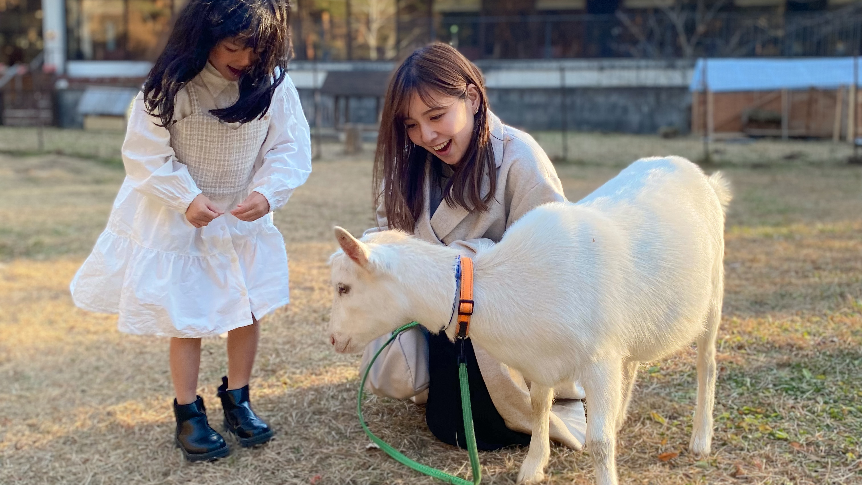 ヤギさんお散歩体験（15：00～16：30）