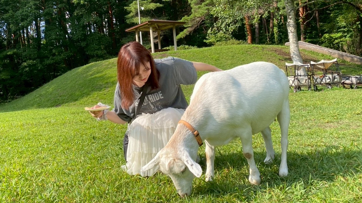 ヤギさんお散歩体験（15：00～16：30）