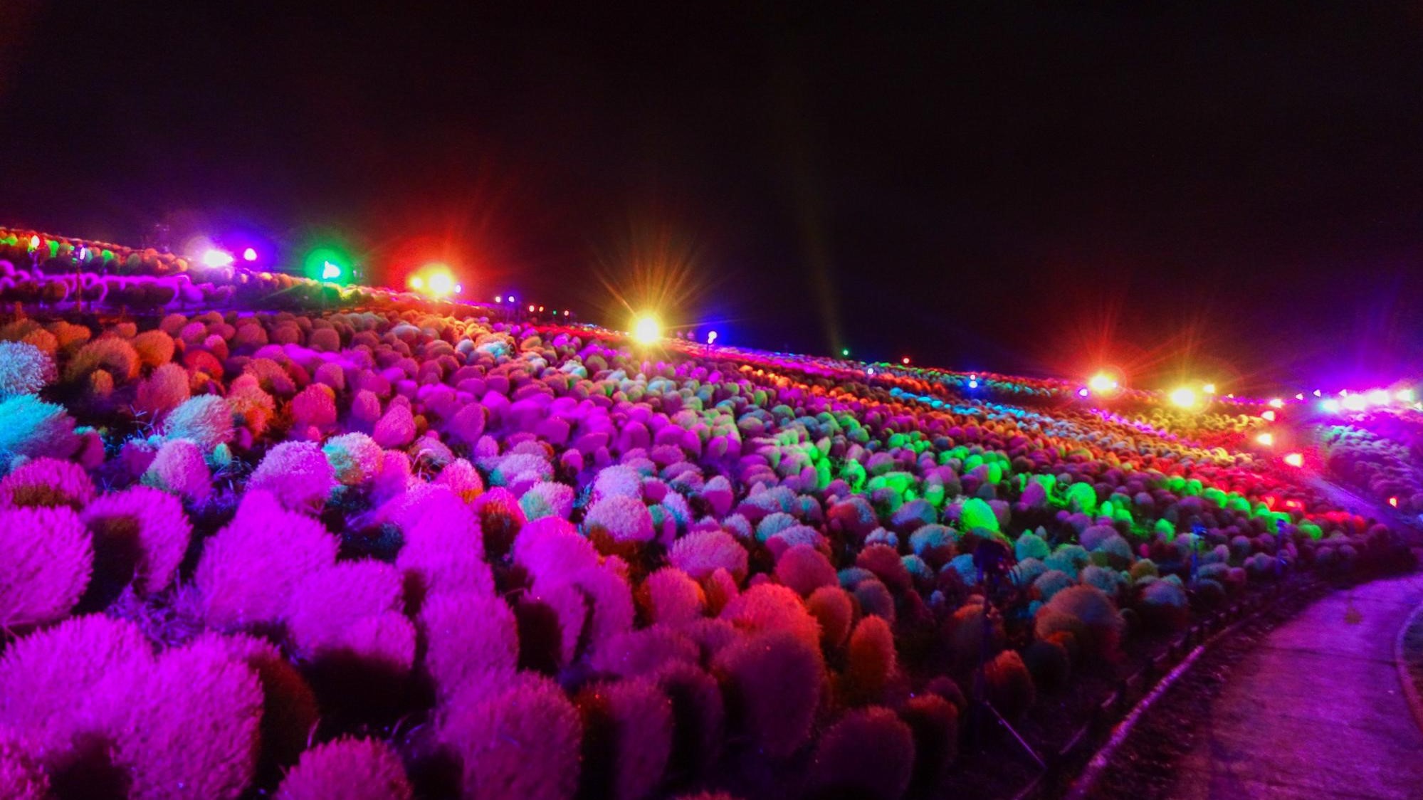 【新館グランドオープン】4組限定★ファミリー★カップルにも大人気★小学生以下添い寝のお子様無料特典