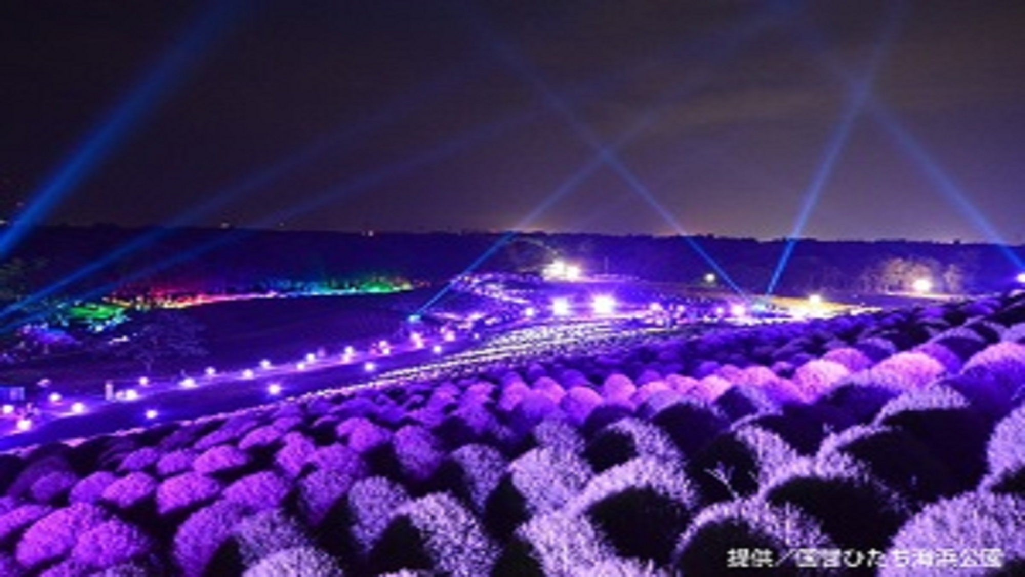 【新空間・プライベート空間】グランドオープンに続き★舞凛鶴館４号館リニューアルオープン★素泊りプラン