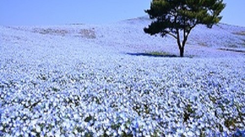 【新館グランドオープン】4組限定★ファミリー★カップルにも大人気★小学生以下添い寝のお子様無料特典