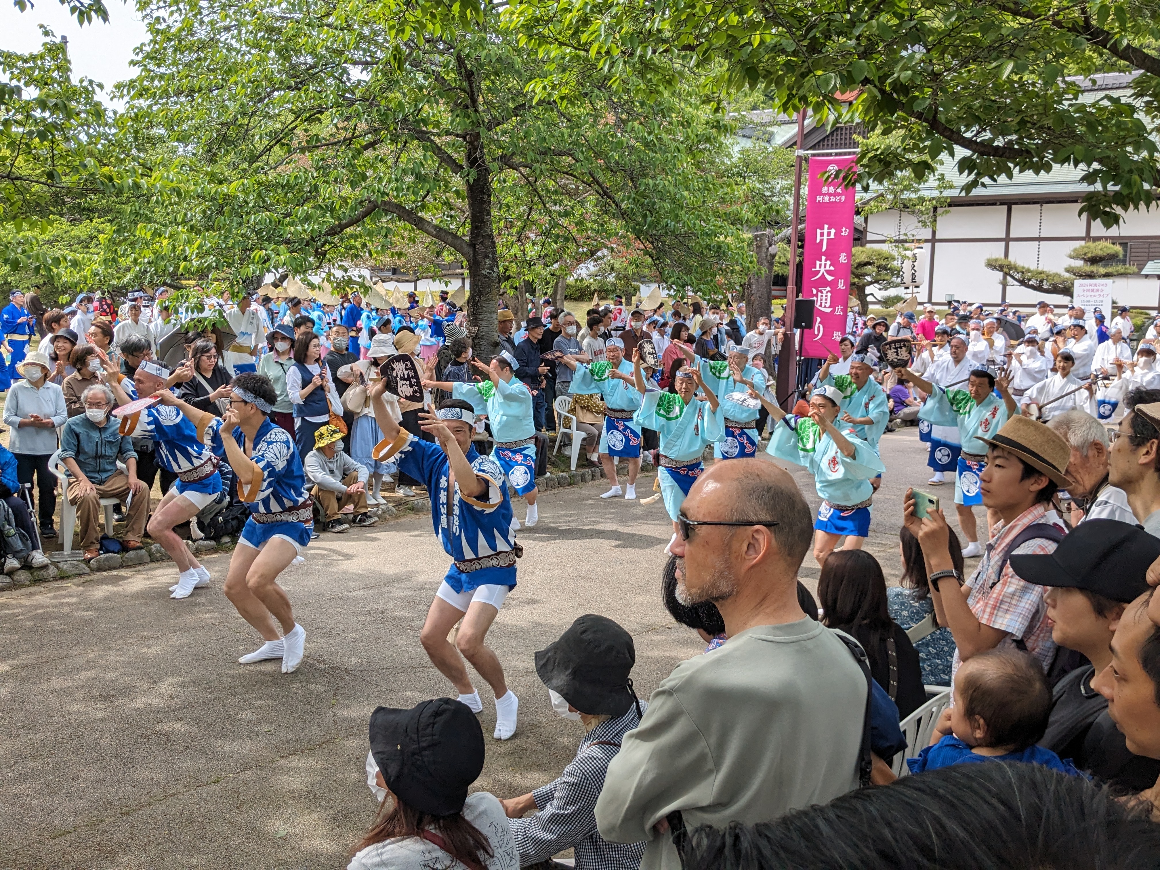 徳島城阿波おどり2024（お花見広場）流し踊り (2)