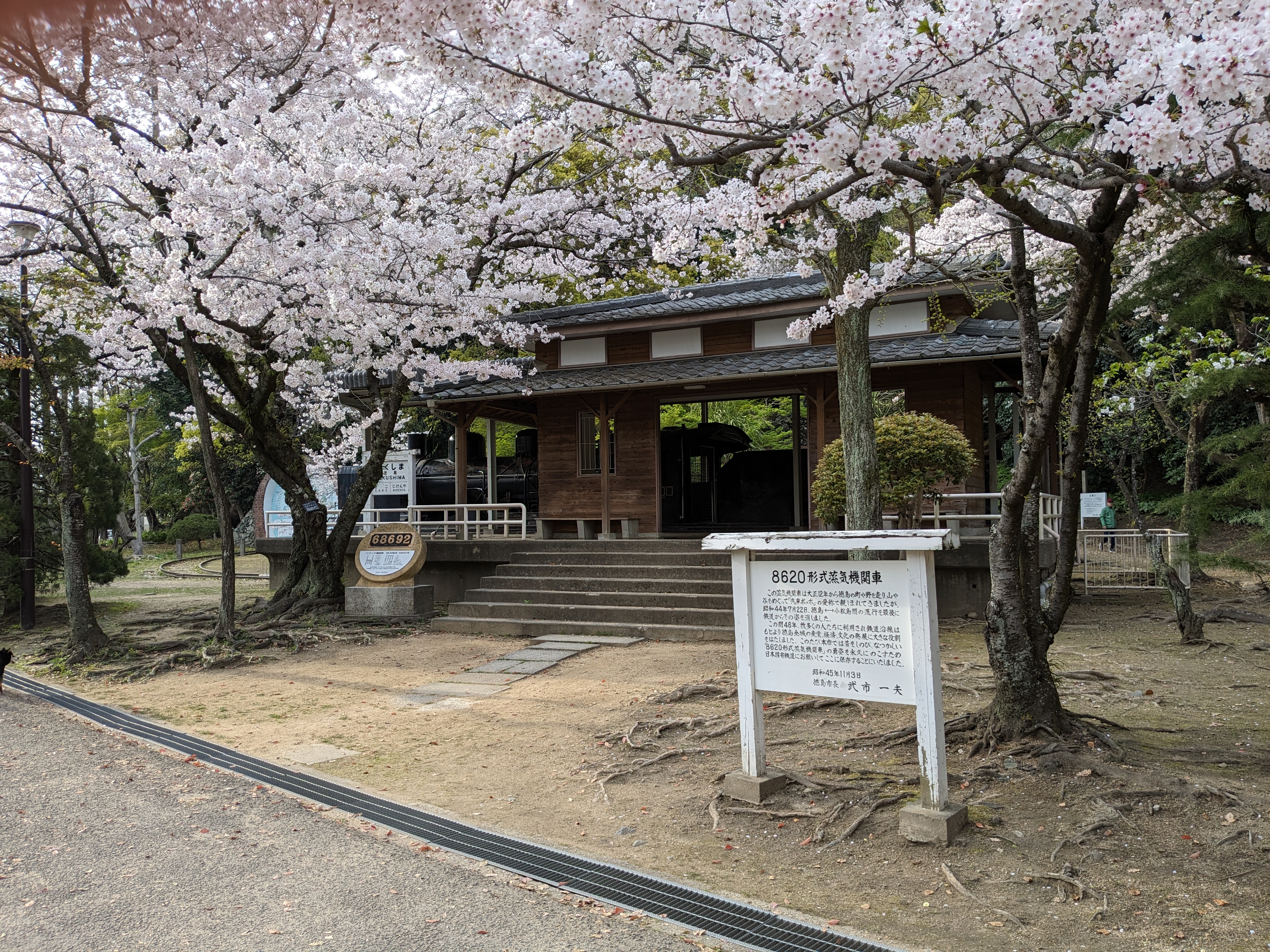 徳島中央公園20240405-6（桜）