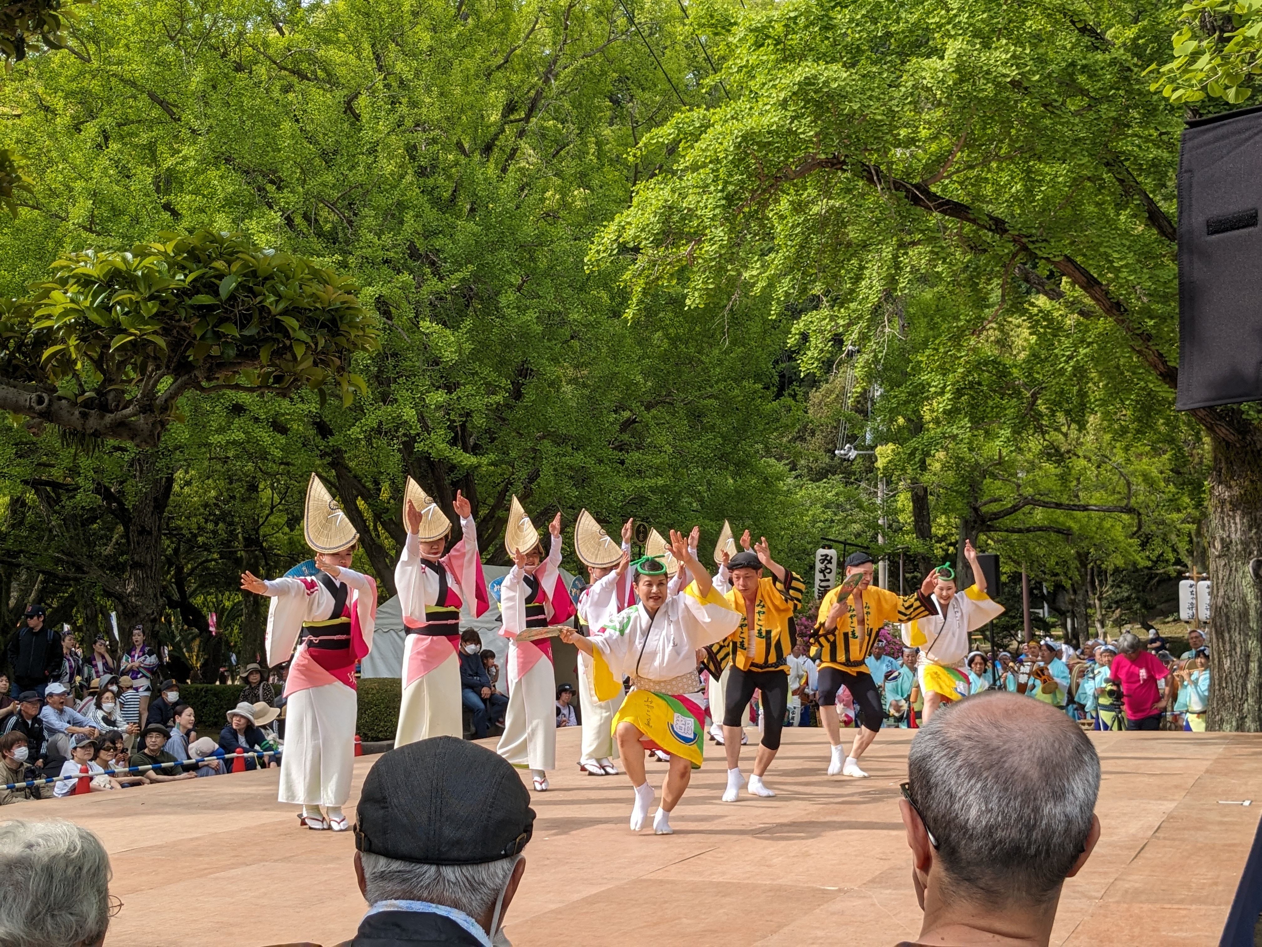 徳島城阿波おどり2024（横須賀家政像前広場）舞台踊り (5)