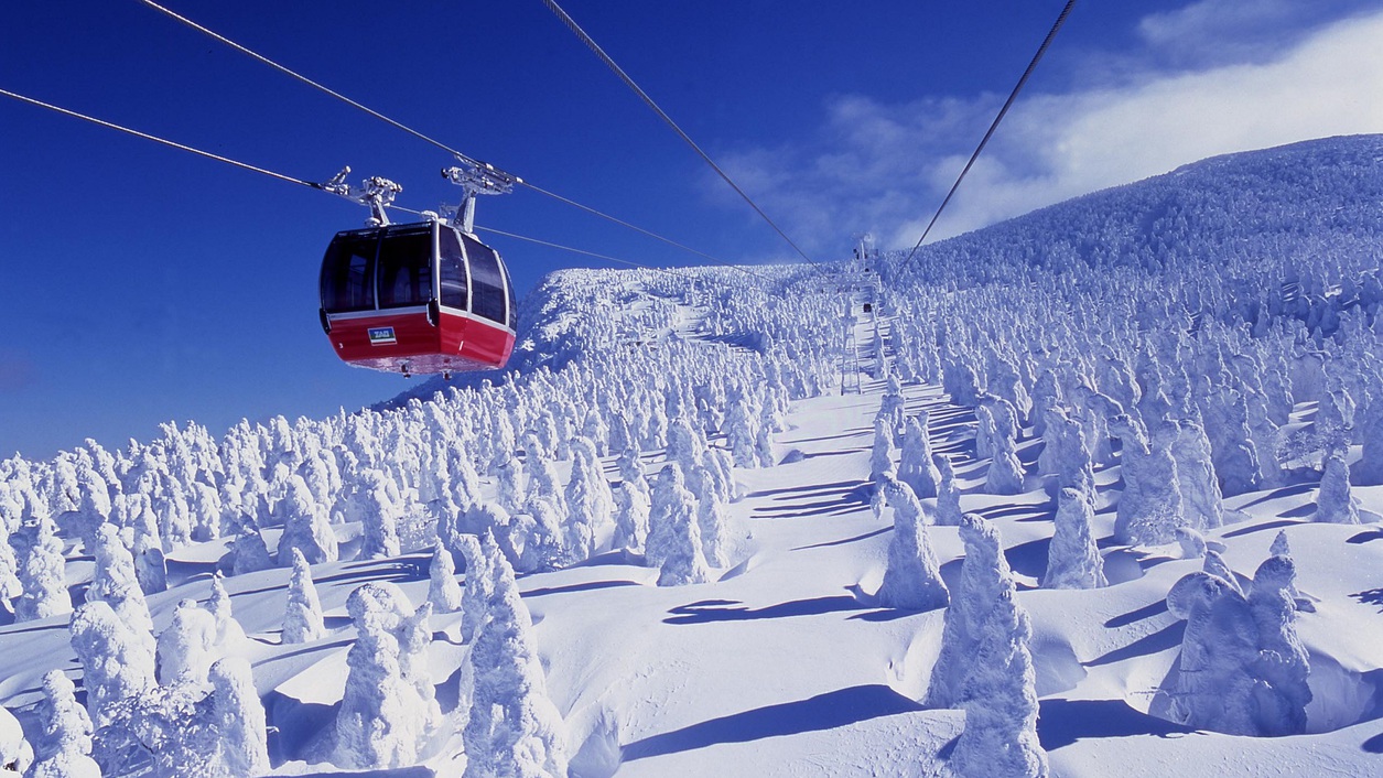 【今だけの樹氷尽くし旅】THE JYUHYOU★樹氷ドリンクに樹氷ロマン付〇アルコール付