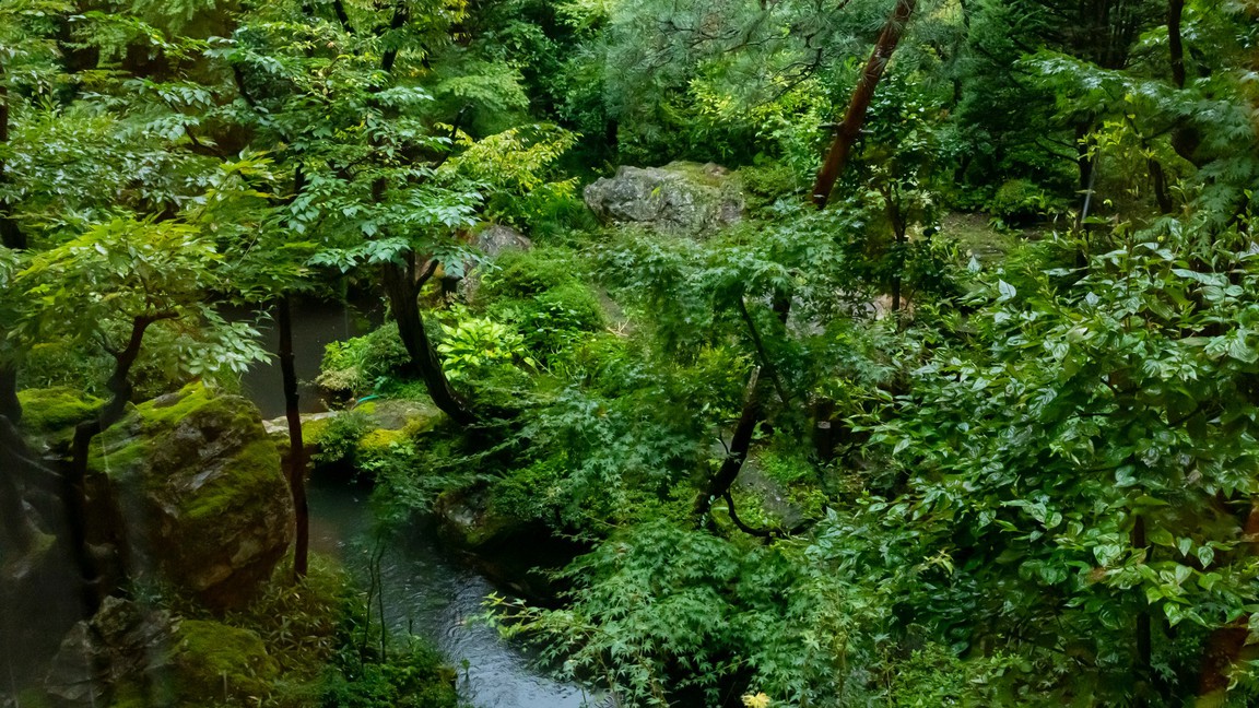 中庭の日本庭園　季節を感じて　心和む日本の風景を