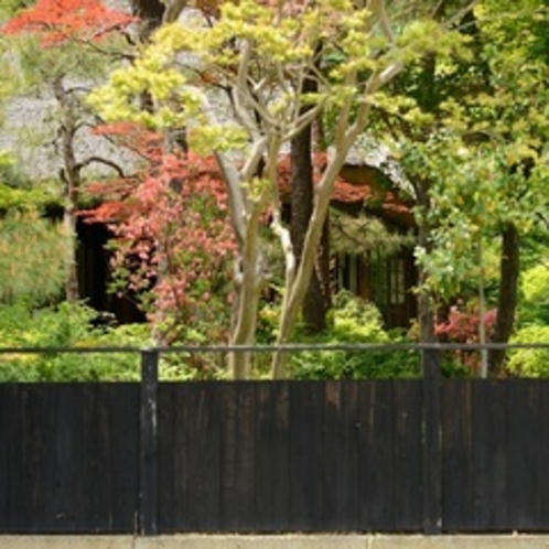 「武家屋敷通りの紅葉」　江戸時代でも四季を愛でる事は日本人特有の美意識の高さ