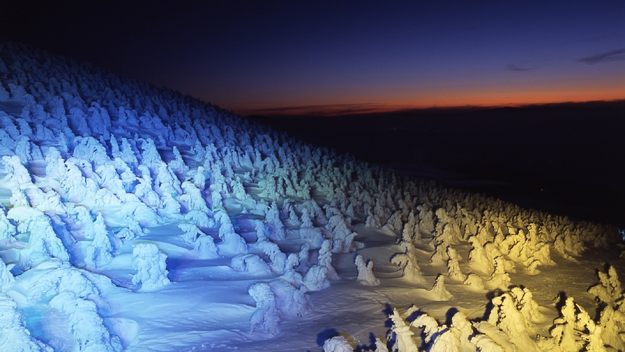 【蔵王の樹氷】世界でもあまり類を見ない氷と雪の美しい造形美。