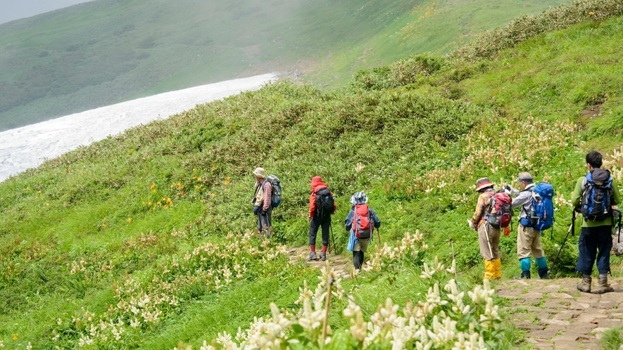 月山のトレッキング。 四季折々の自然を感じ、別世界のような美しい景色と出会えることが魅力。