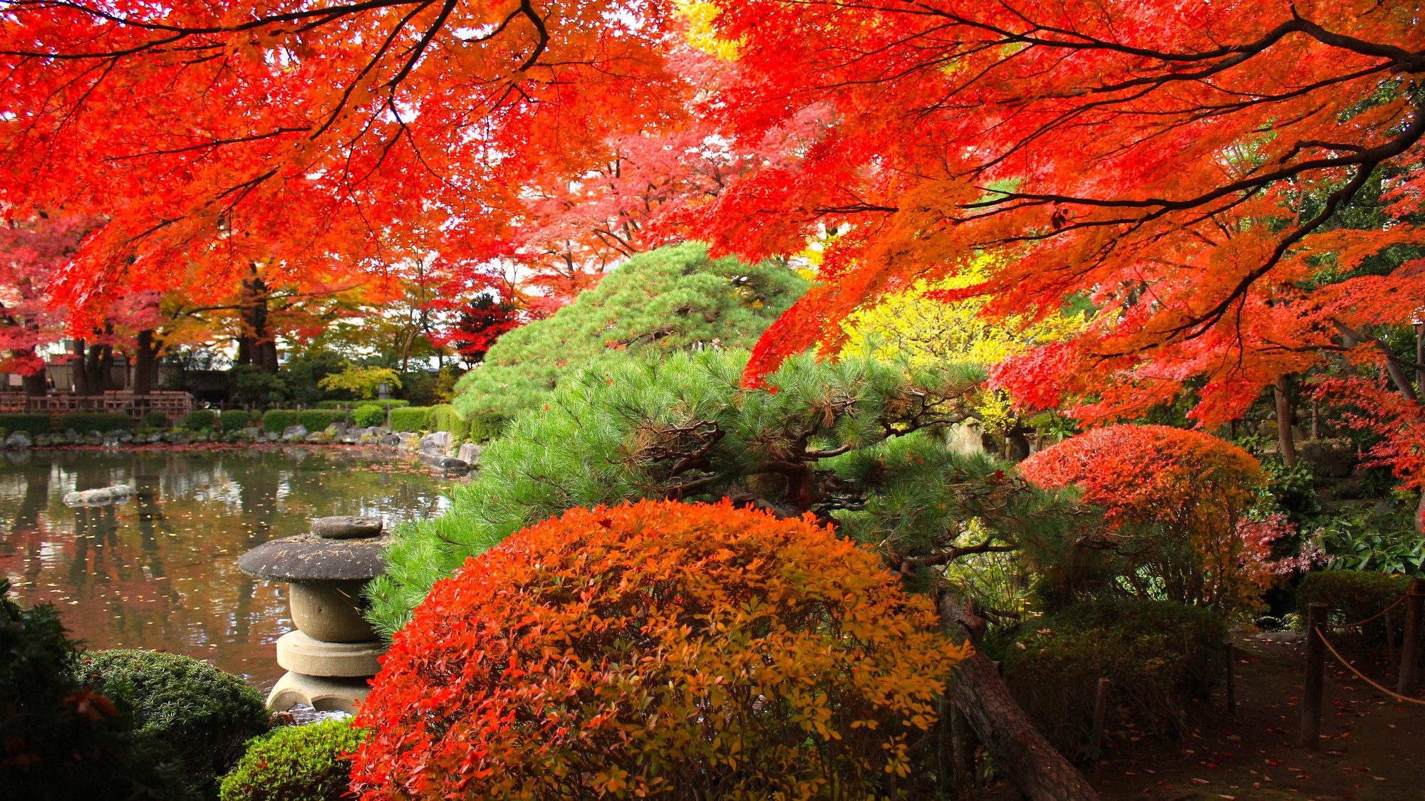 秋の紅葉で美しく彩った庭園。