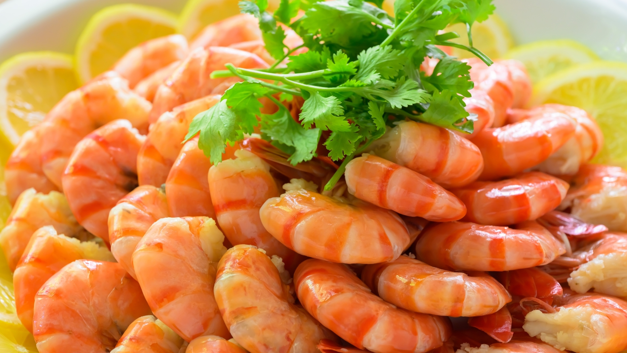 海の幸もふんだんに使用した冬のバイキング。プリプリの海老を心ゆくまでお楽しみください。