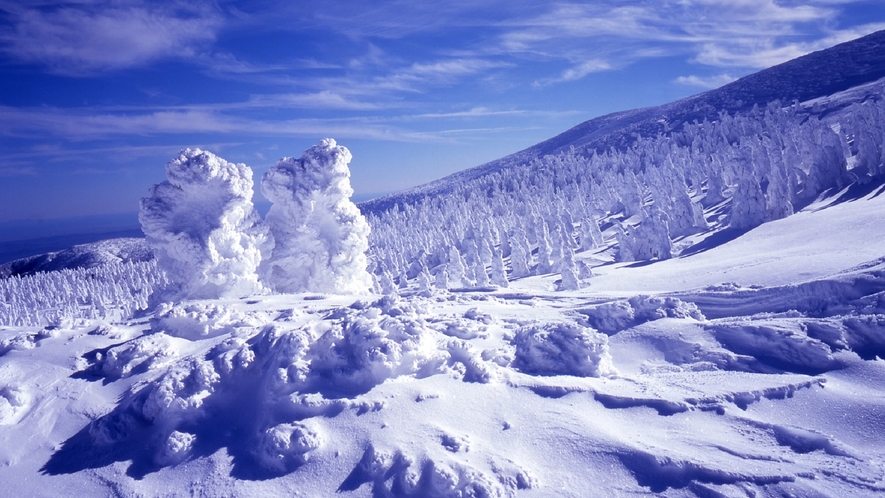 スノーモンスターと呼ばれる蔵王の樹氷。世界でも類を見ない氷と雪の芸術