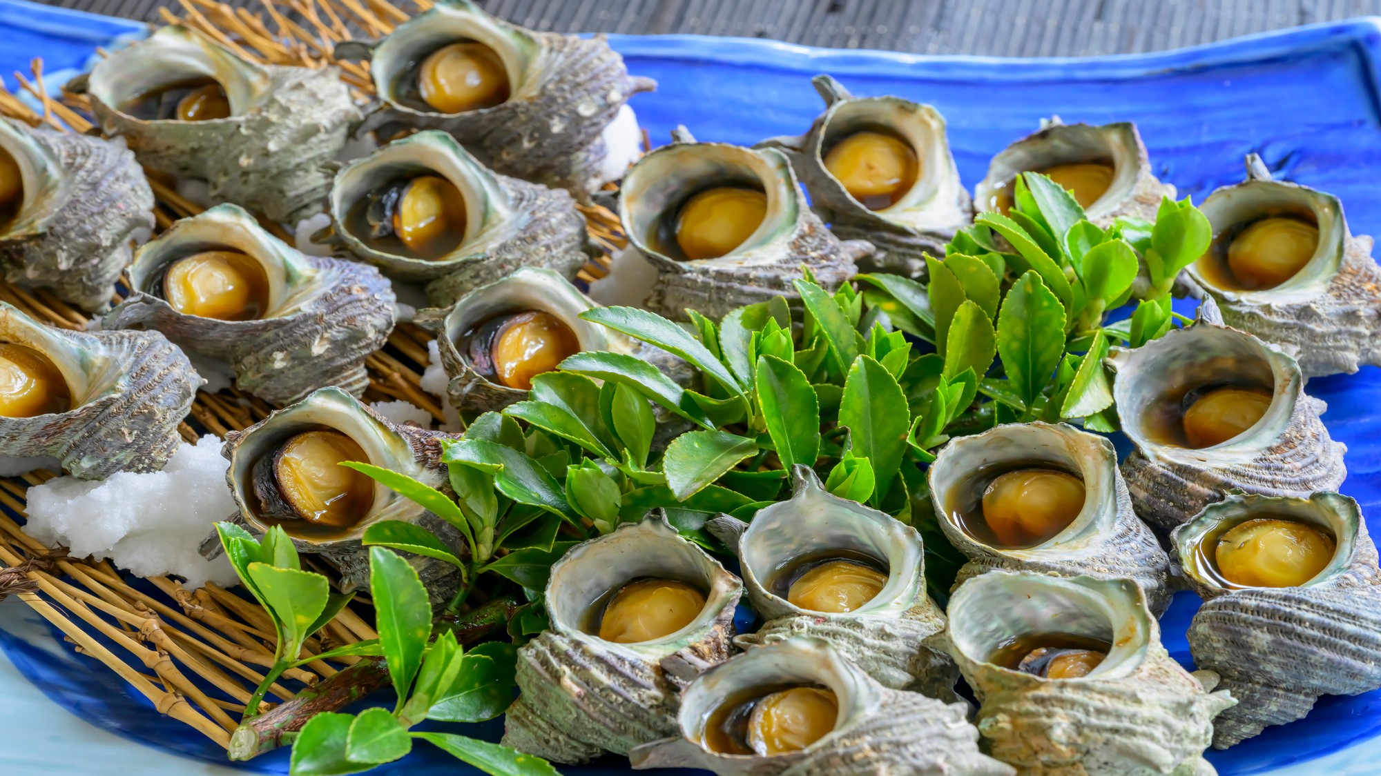 豪華サザエ！新鮮な海の幸に舌鼓♪