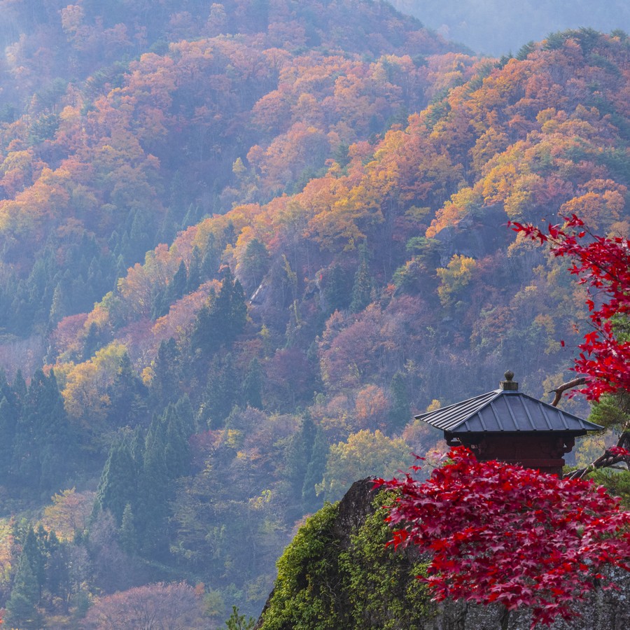 秋の山寺。奇岩怪石の山寺全山が紅葉に包まれ絶好の景観となります。
