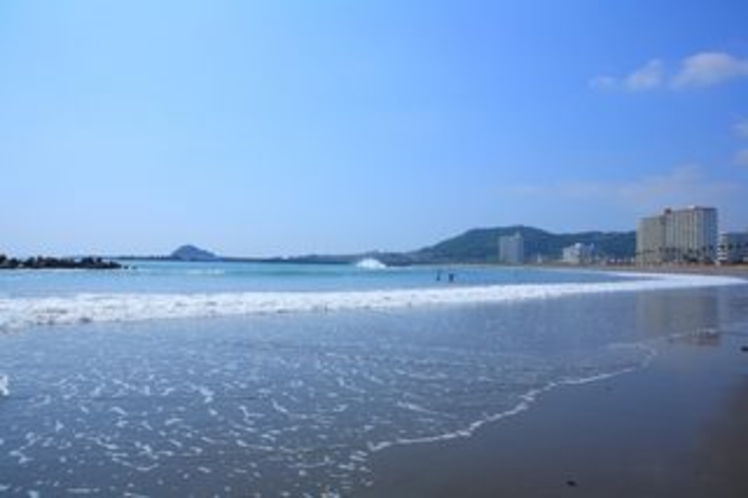 鴨川の海