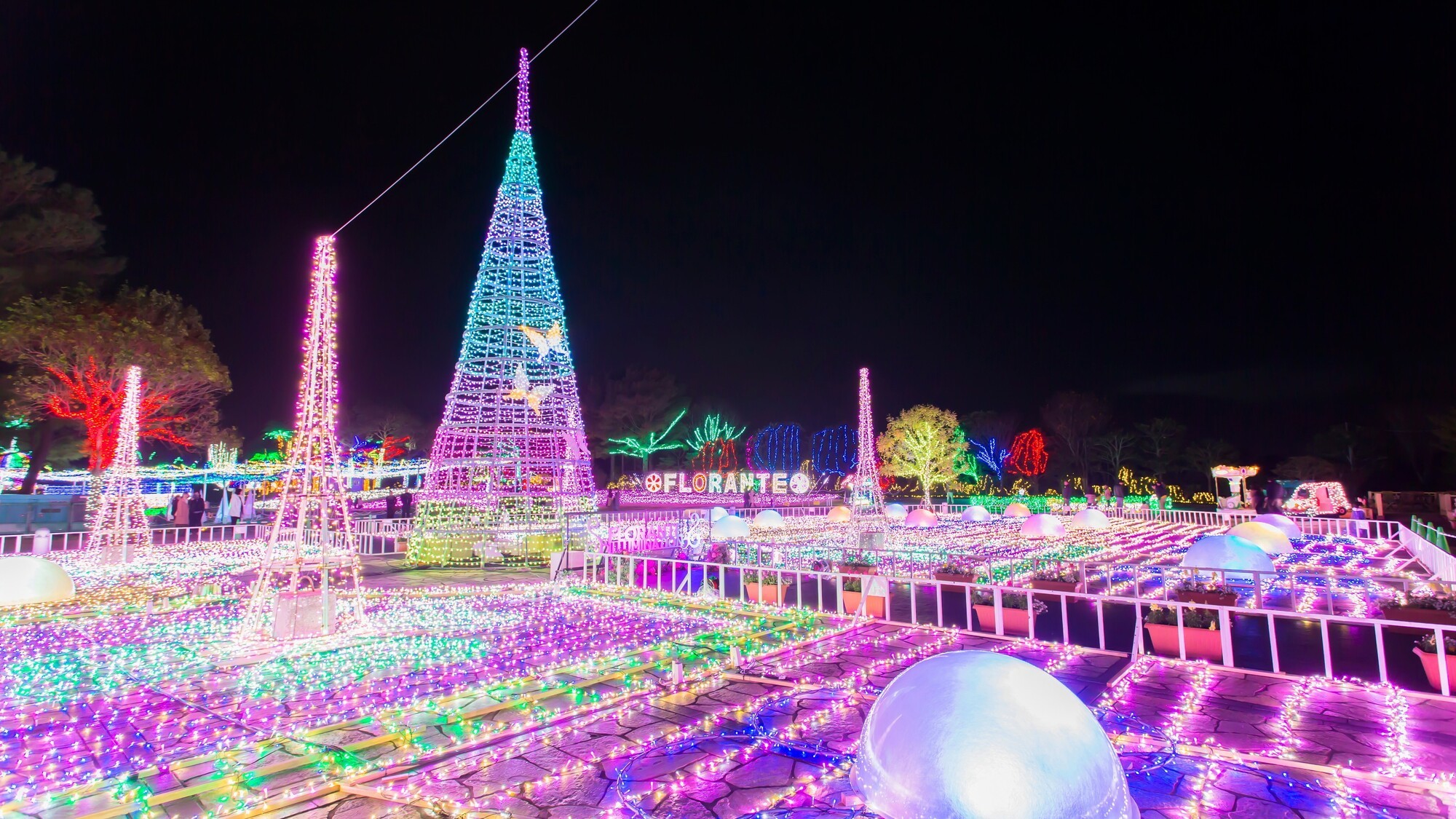 フローランテ宮崎 イルミネーション