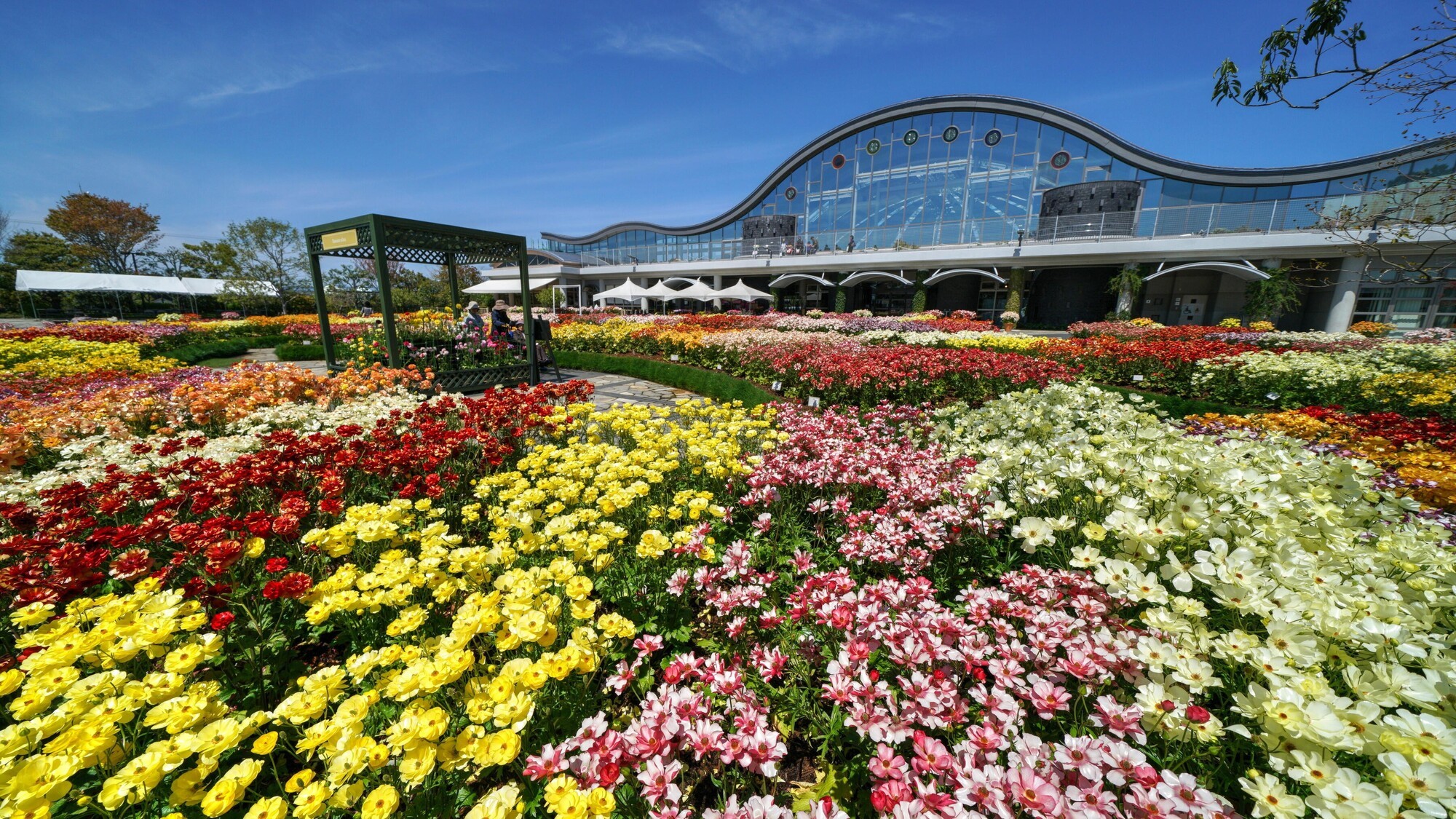 フローランテ宮崎 01