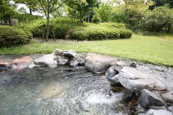 อ่างอาบน้ำแบบเปิดโล่งในสวนสีเขียวที่สวยงาม